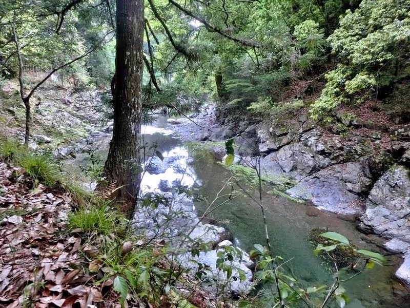 Kyoto Private Tour - Kiyotaki River