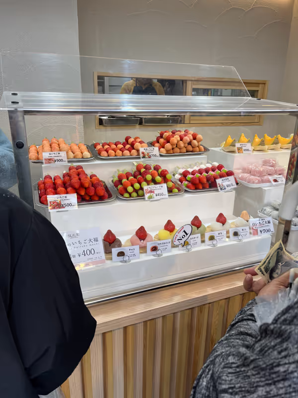 Tokyo Private Tour - 