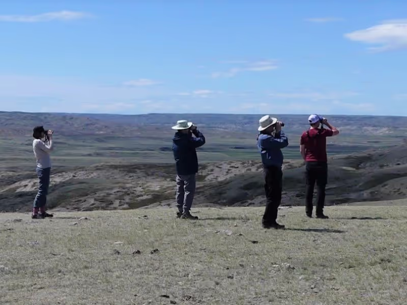 Saskatchewan Private Tour - Birdwatching at Grasslands Park by Beverley Currie