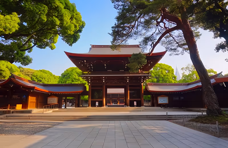 Tokyo Private Tour - Shrine in Harajuju