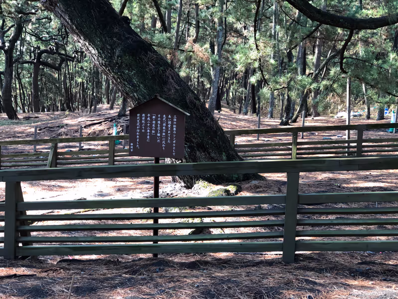 Shizuoka Private Tour - Kunozan Toshogu Shrine