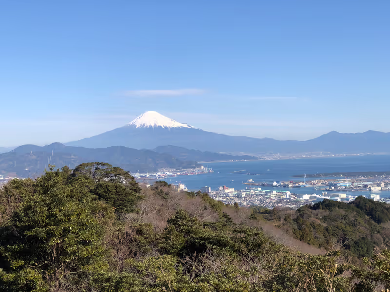 Shizuoka Private Tour - Mt Fuji