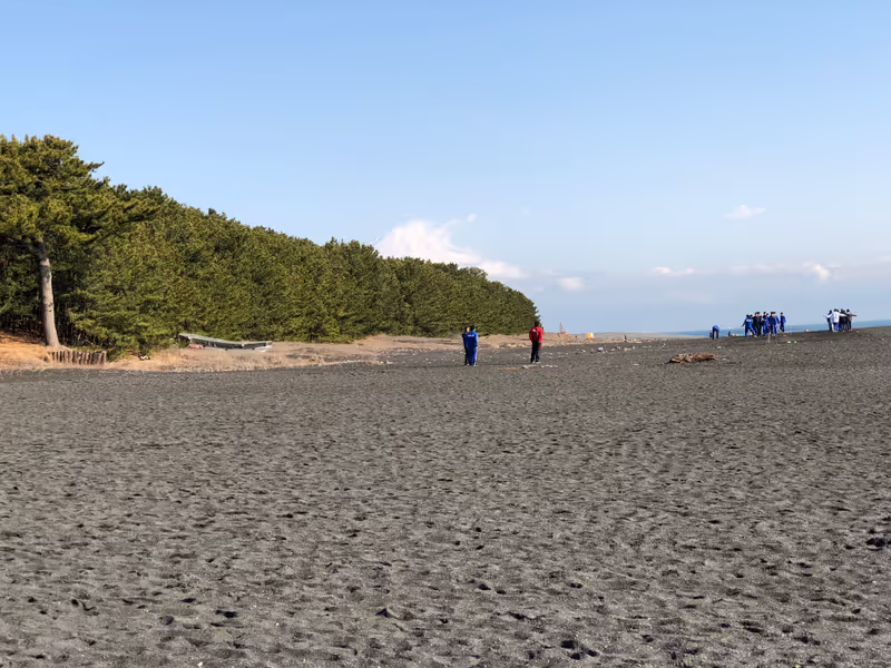 Shizuoka Private Tour - Shizuoka