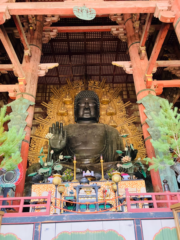 Nara Private Tour - 