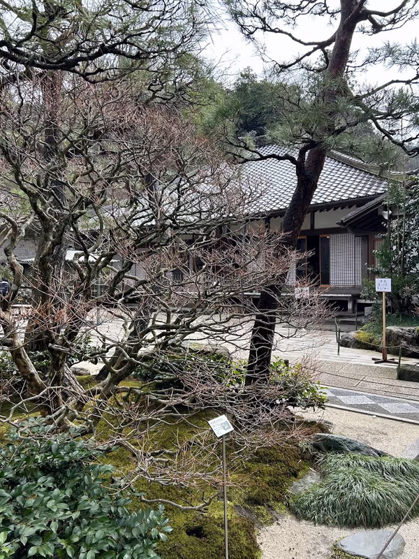 Kamakura Private Tour - It's a very spacious precinct. First, you will be