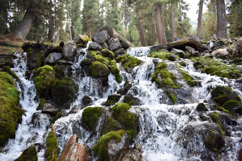 Lahore Private Tour - Fairy Meadows a small water stream