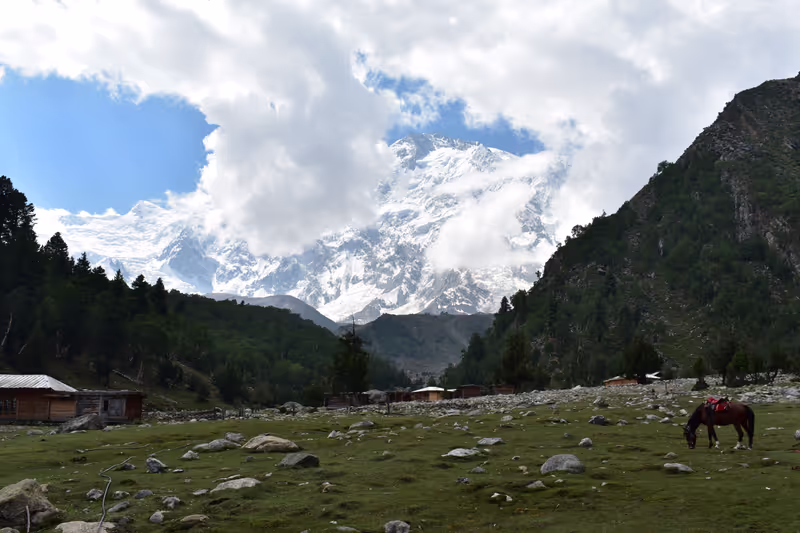 Lahore Private Tour - Biyal Camp