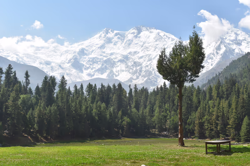 Lahore Private Tour - Fairy Meadows
