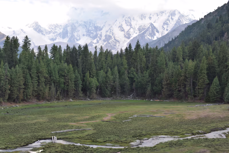 Lahore Private Tour - Fairy Meadows