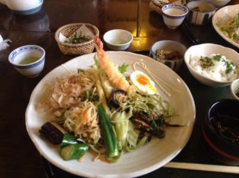 Other Shizuoka Locations Private Tour - The green tea mixed-in buckwheat noodles and tea leaf Tempura and so on, they are all nice!
