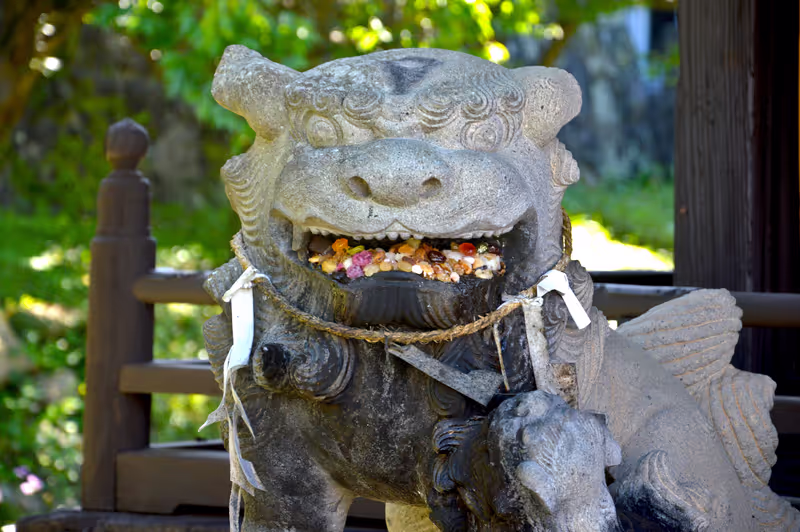 Nagasaki Private Tour - Umezono Migawari Tenmagu Shrine