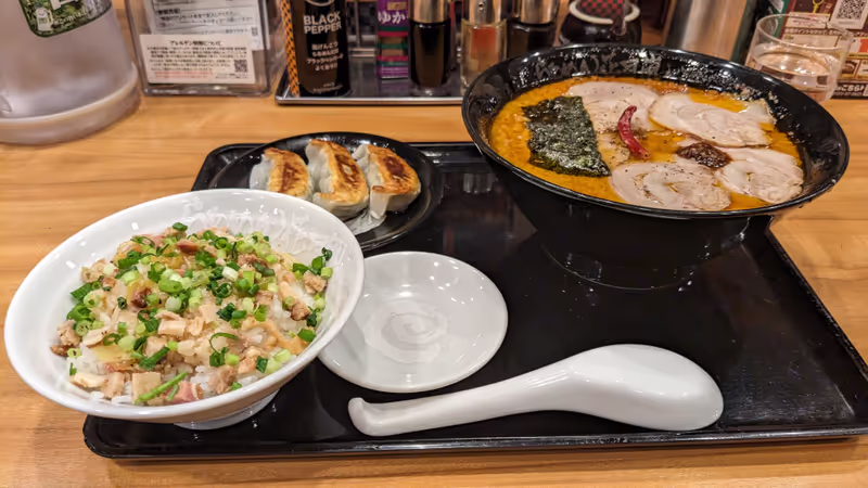 Tokyo Private Tour - Ramen, Fried Rice and Gyoza