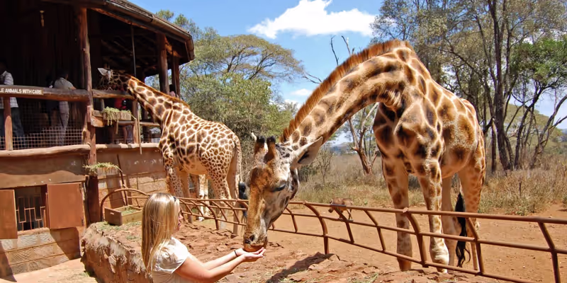 Nairobi Private Tour - Feeding giraffe in Nairobi
