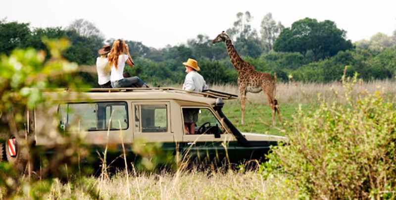 Nairobi Private Tour - Nairobi National Park game drive