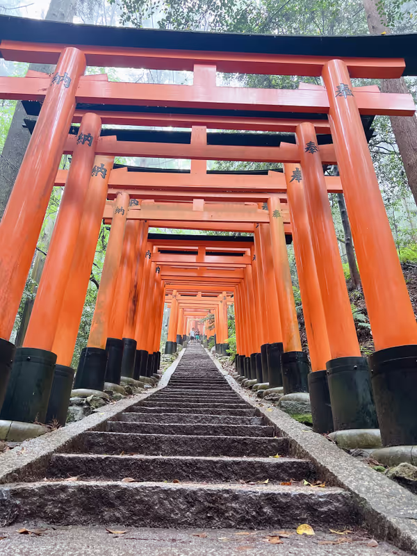 Kyoto Private Tour - Fushimi Inari Shrine