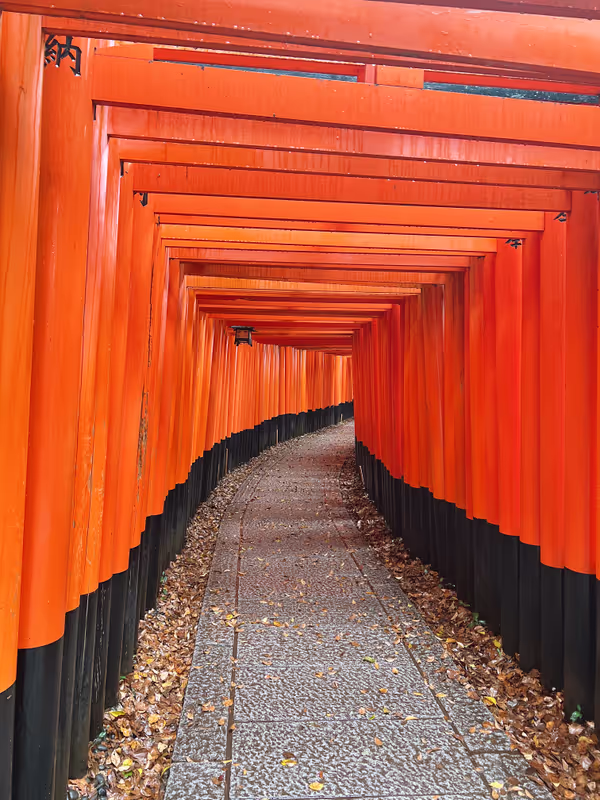 Kyoto Private Tour - Fushimi Inari Shrine