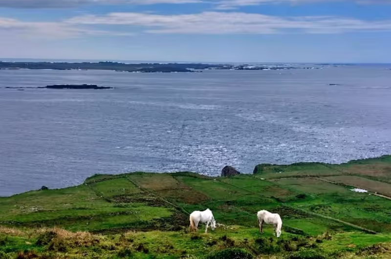 Galway Private Tour - The Sky Road