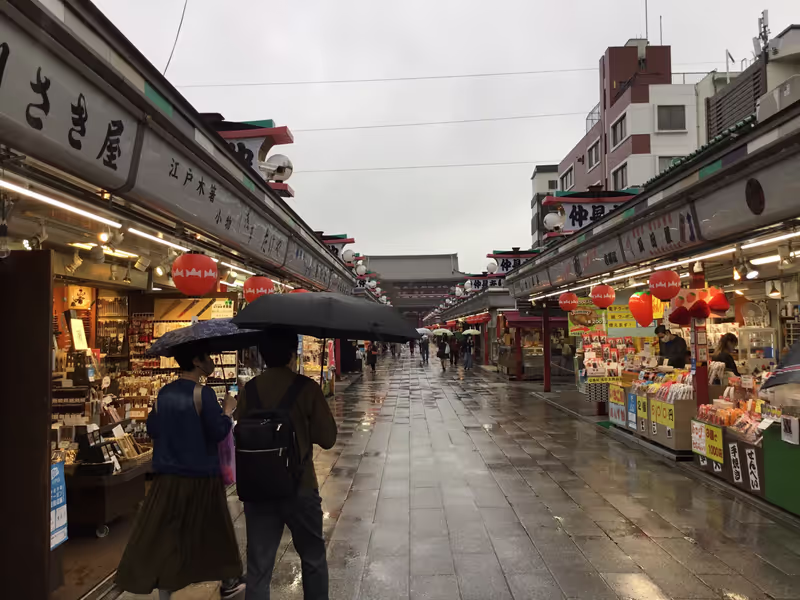 Tokyo Private Tour - Sensoji Nakamise street