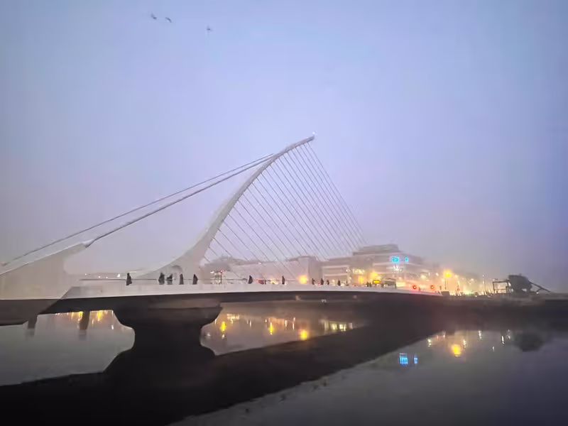 Dublin Private Tour - The iconic Samuel Beckett Bridge