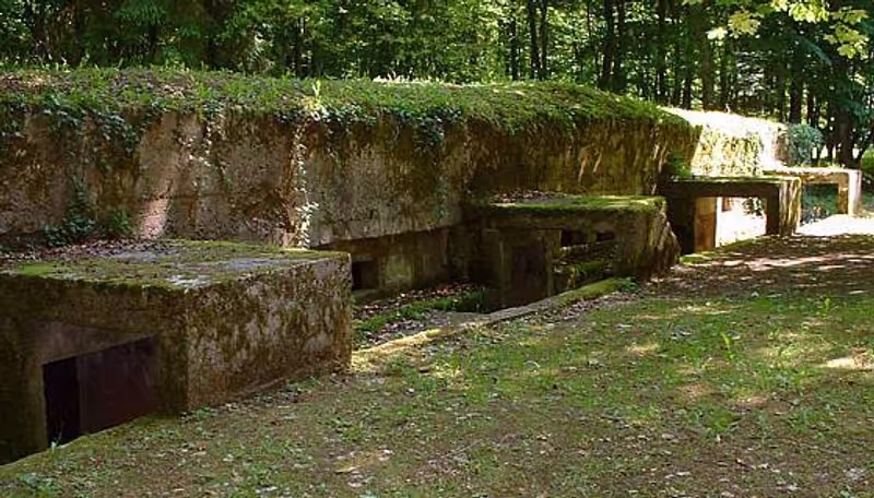 Reims Private Tour - Command Post, Bois des Cauress