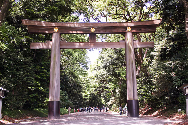 Tokyo Private Tour - Meiji Shrine Gate
