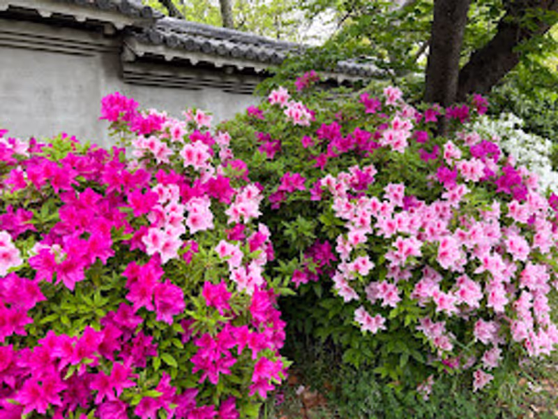 Osaka Private Tour - 