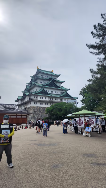 Aichi Private Tour - Nagoya castle
