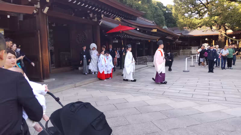 Tokyo Private Tour - Wedding procession at Meiji Shrine