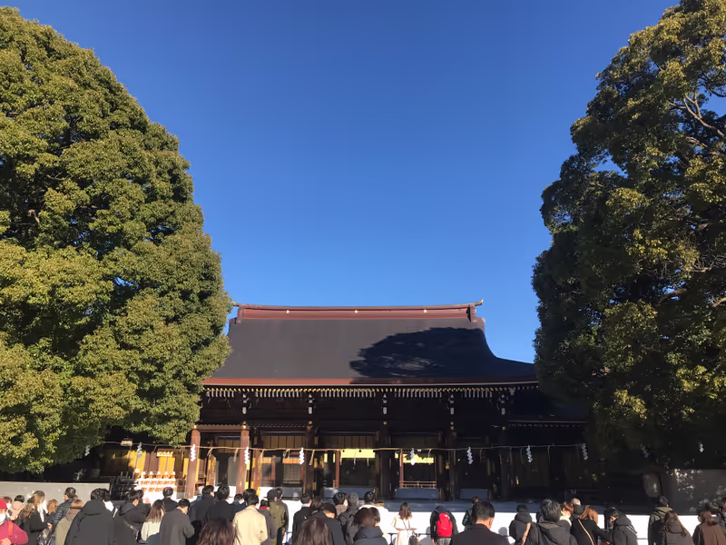 Tokyo Private Tour - Meiji Shrine