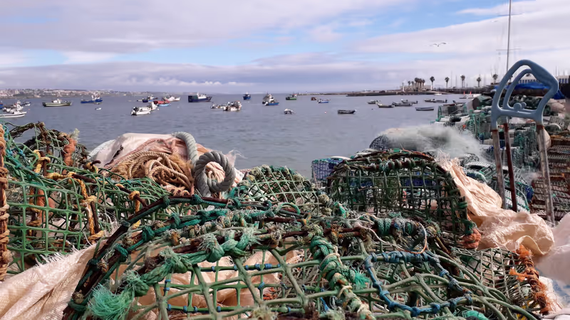 Lisbon Private Tour - Cascais