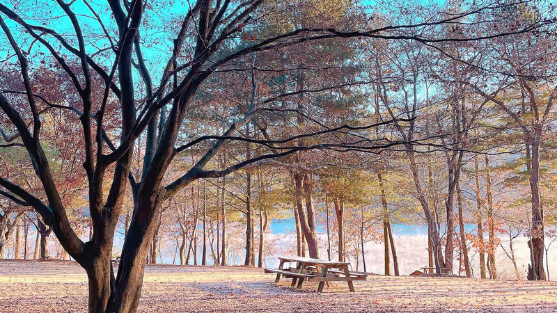 Seoul Private Tour - 