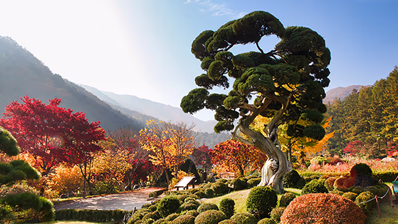 Seoul Private Tour - 