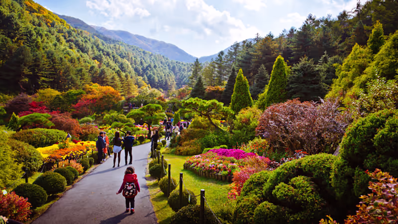 Seoul Private Tour - 