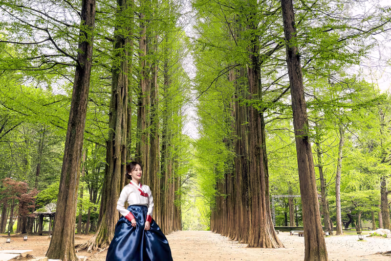 Seoul Private Tour - 