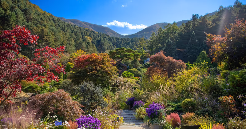 Seoul Private Tour - 