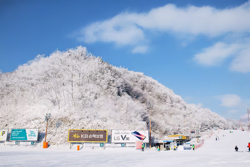 Seoul Private Tour - 