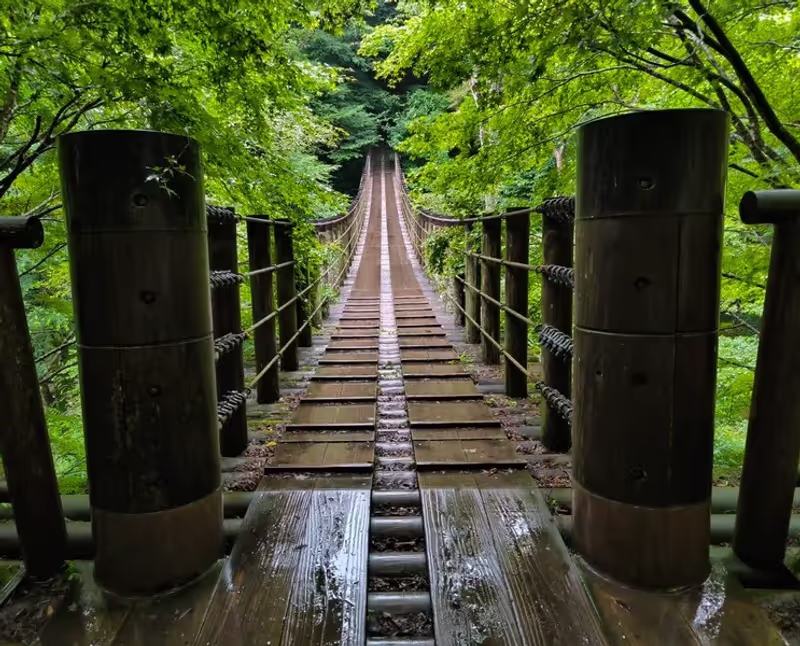 Ibaraki Private Tour - Hananuki bridge