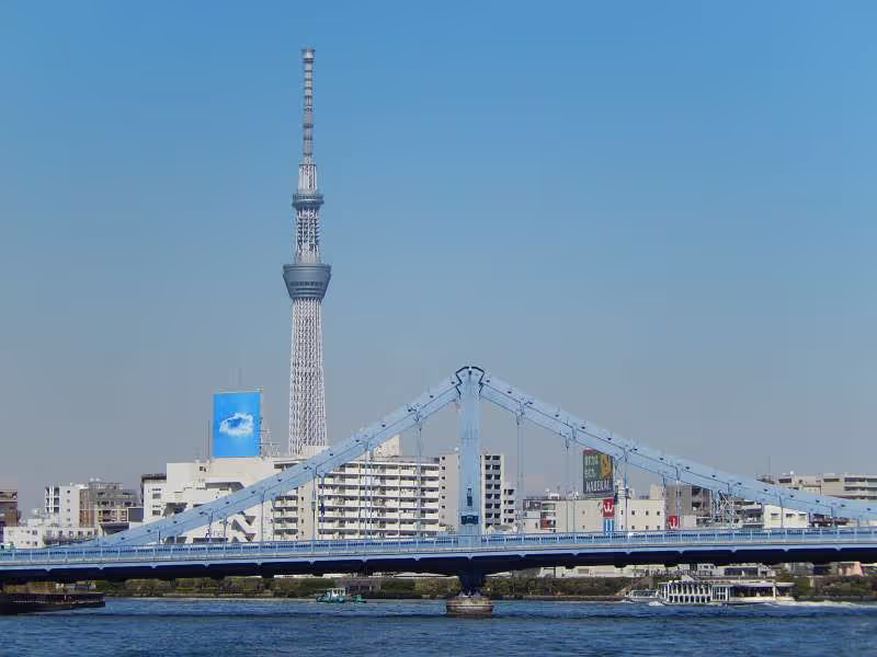 Tokyo Private Tour - The Tokyo Sky-Tree seen from the Sumida river