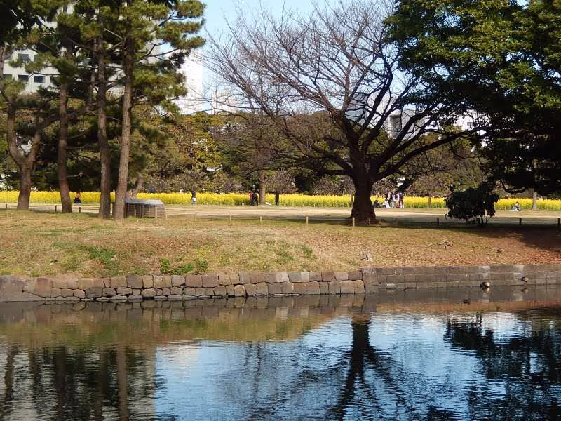 Tokyo Private Tour - Hama-rikyu gardens