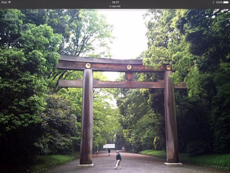 Tokyo Private Tour - Meiji Shrine