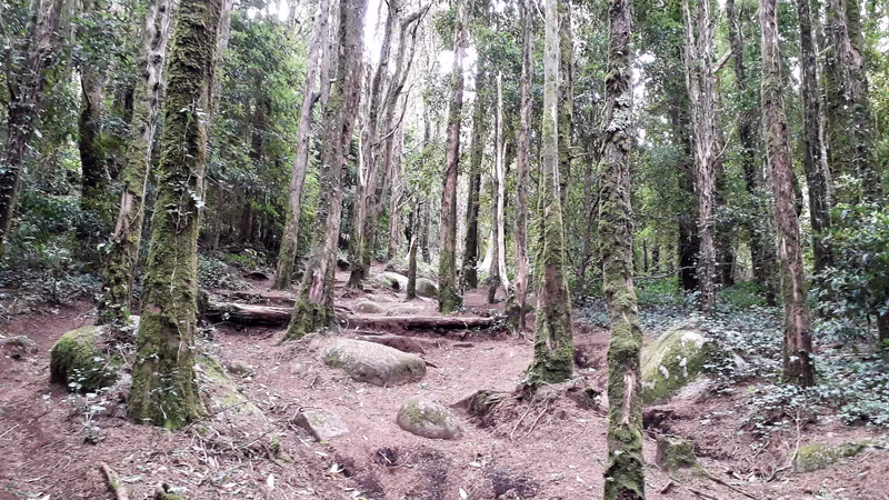 Cascais Private Tour - Hike