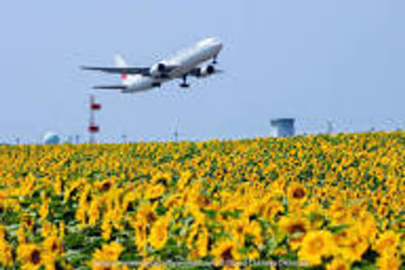 Other Hokkaido Locations Private Tour - 