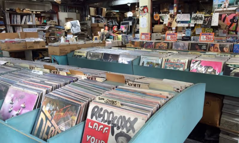 Tokyo Private Tour - Flash Disc Ranch, Shimokitazawa