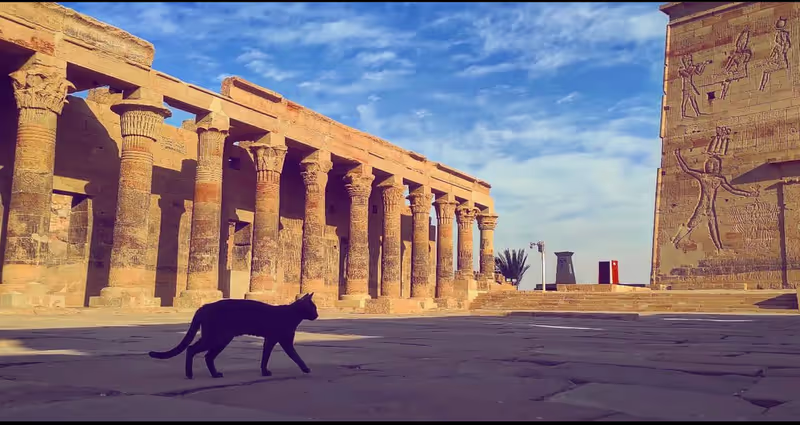 Aswan Private Tour - 
