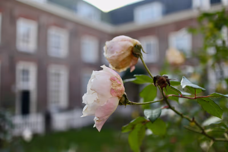 Amsterdam Private Tour - 