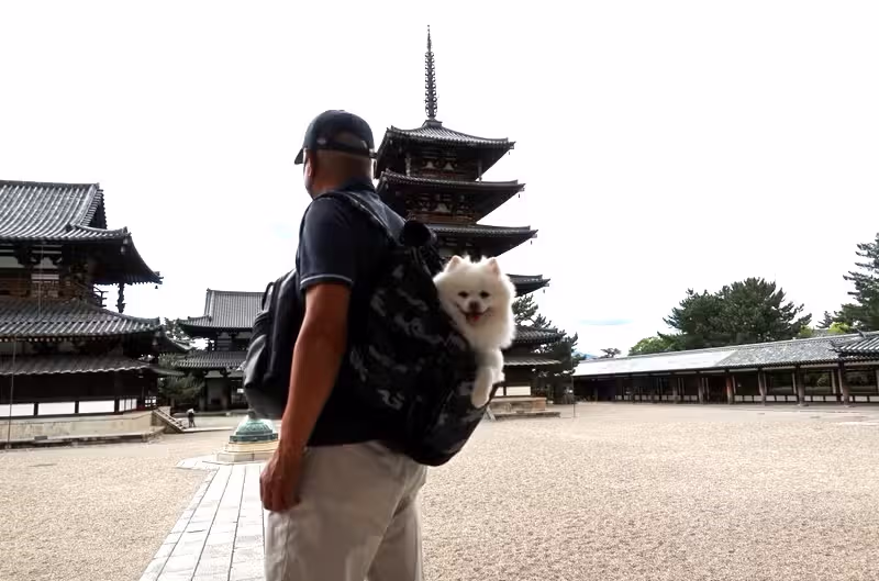 Osaka Private Tour - Horyuji Temple