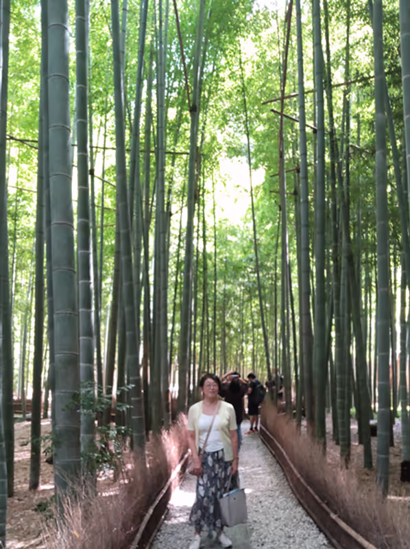 Tokyo Private Tour - The Bamboo Grove of Hokokuji Temple