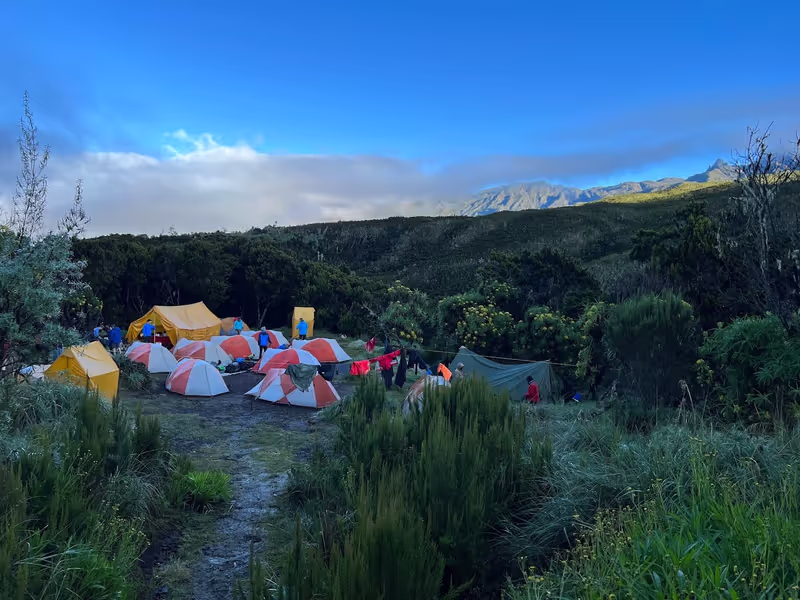 Kilimanjaro Private Tour - 
