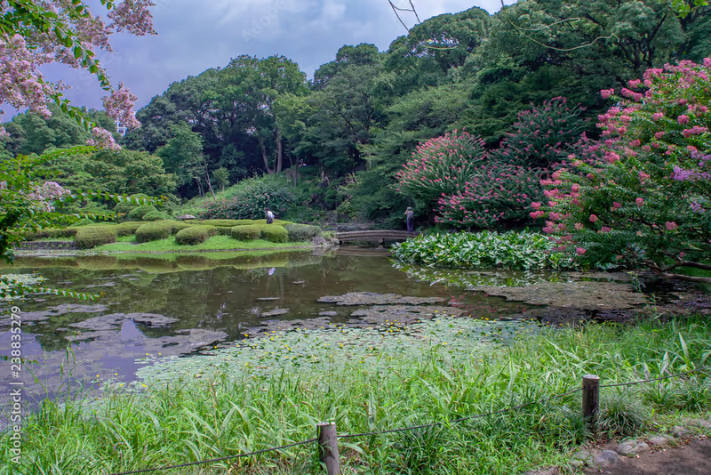 Tokyo Private Tour - 