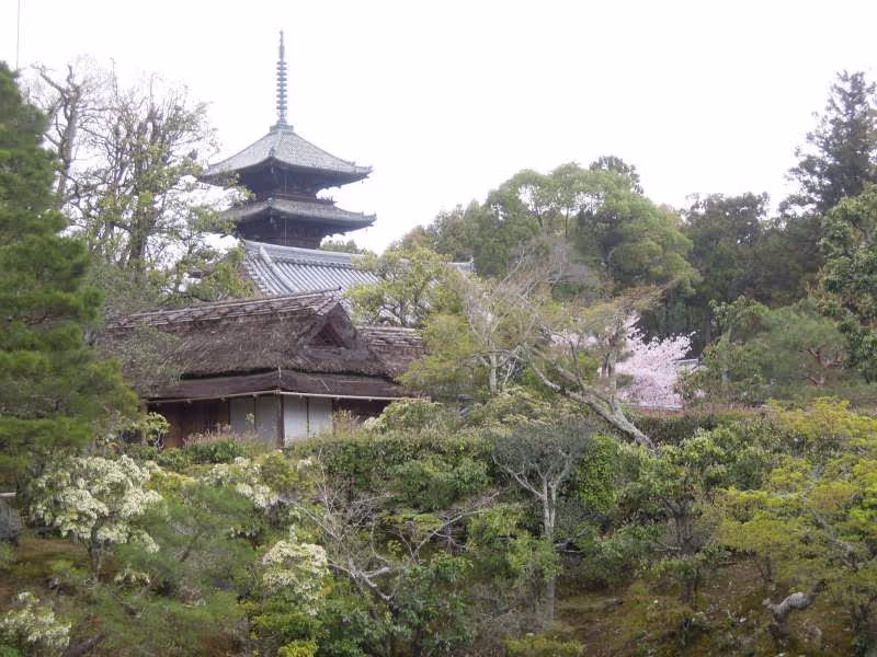 Kyoto Private Tour - Ninna-ji Temple called Omuro, or the emperor's residence, near Kinkaku-ji